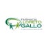 Logo: Farmacia Loreto Gallo