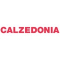 Calzedonia